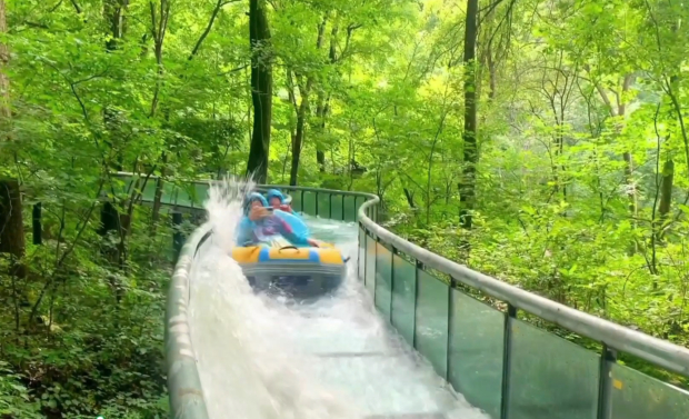 image009.jpg image009.jpg