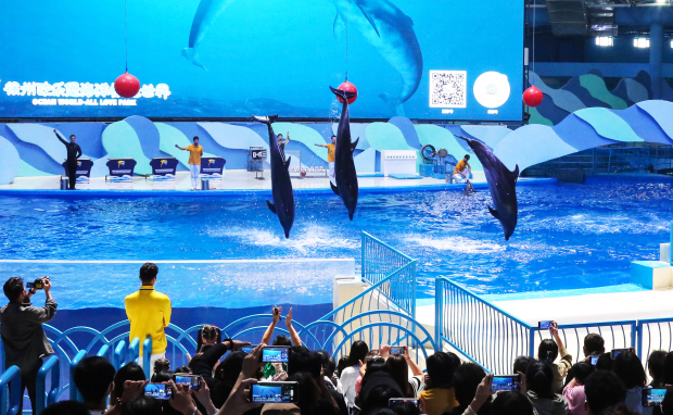 欧乐堡2 (2).jpg 欧乐堡2 (2).jpg