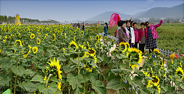 汉王花田 (2).jpg 汉王花田 (2).jpg