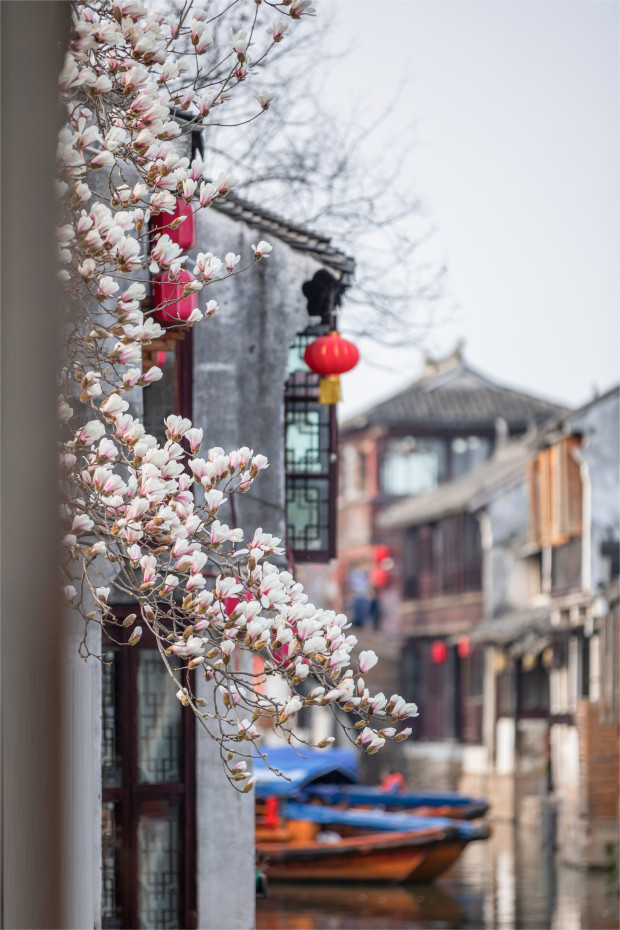 image001 (2).jpg image001 (2).jpg